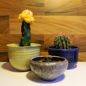Keramik & Kaktus